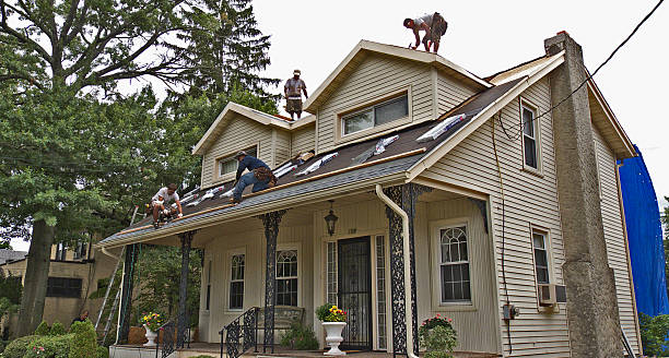 Best Storm Damage Roof Repair  in Dunkirk, NY